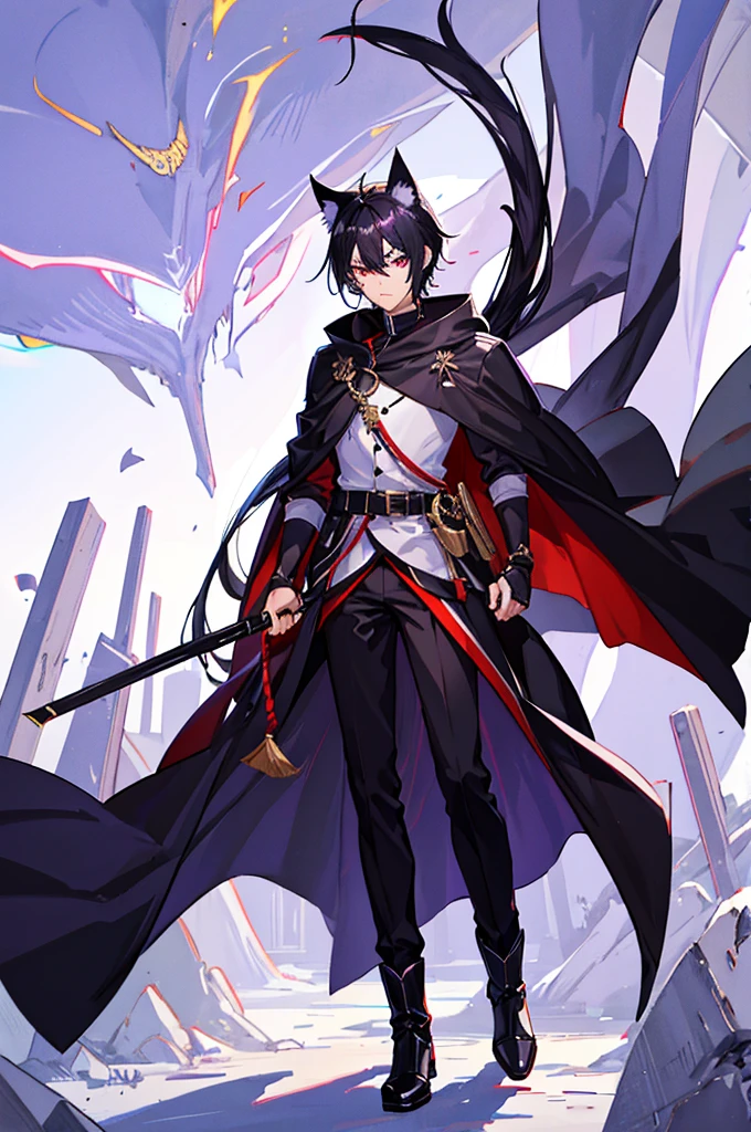 Black Hair少年,Around fifteen years old,Black Hair,Cat ear,Cat tail,Purple cloak,Heterochromia,Red left eye,Blue right eye,White shirt,Purple cloak,Standing,whole body,For the audience,White background,masterpiece,HD,4K,Detailed facial depiction,Black trousers,Black boots,Black Hair,White background(1:5)