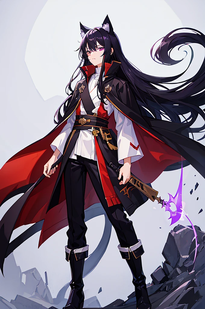 Black Hair少年,Around fifteen years old,Black Hair,Cat ear,Cat tail,Purple cloak,Heterochromia,Red left eye,Blue right eye,White shirt,Purple cloak,Standing,whole body,For the audience,White background,masterpiece,HD,4K,Detailed facial depiction,Black trousers,Black boots,Black Hair,White background(1:5)