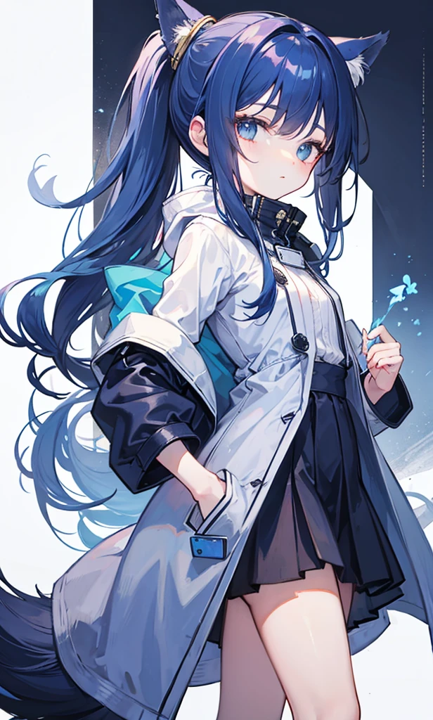 Dark blue fox-like high ponytail,Simple light blue cotton coat,Petite cute sweet lady girl