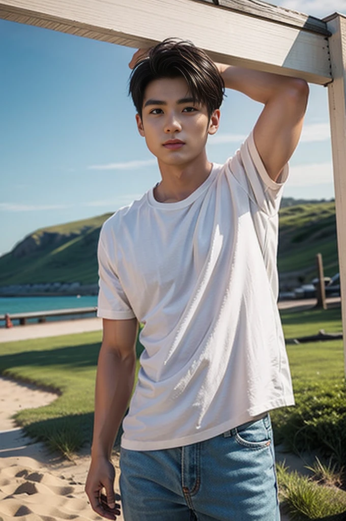 A young Asian man stands, handsome, muscular, looking at the camera. In a plain white t-shirt , Fieldside, grass, beach, sunlight