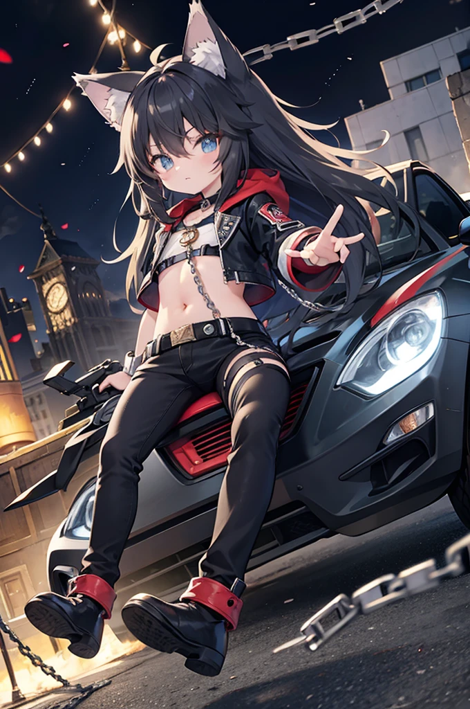 robot anime style,
hyper cute wolf shota,wolf ears tail,wolf tail,long hair,
black hair,Steampunk,Cool leather clothes, chains,
(Get into huge crab-shaped vehicles),