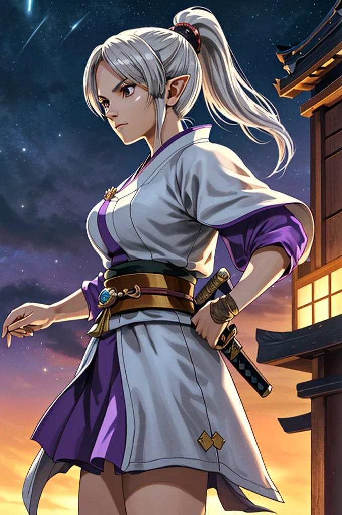 Highest quality,High resolution, ((DQ10)) ,(Elf),samurai,(gun),One person,warrior,(white_coat),purple,kimono,woman,One personで,ponytail,Swordsman,strongest,Anime Style,(Night Sky_background),(Limbs),(Full Finger),(Accurate fingertips), (The finer details), (Super detailed),(Japanese sword:),4K,(high resolution),whole body, (Front angle), Looking at the camera,masterpiece,(Subtle details),(Intricate details),Octane Rendering,(Hyper Detail),