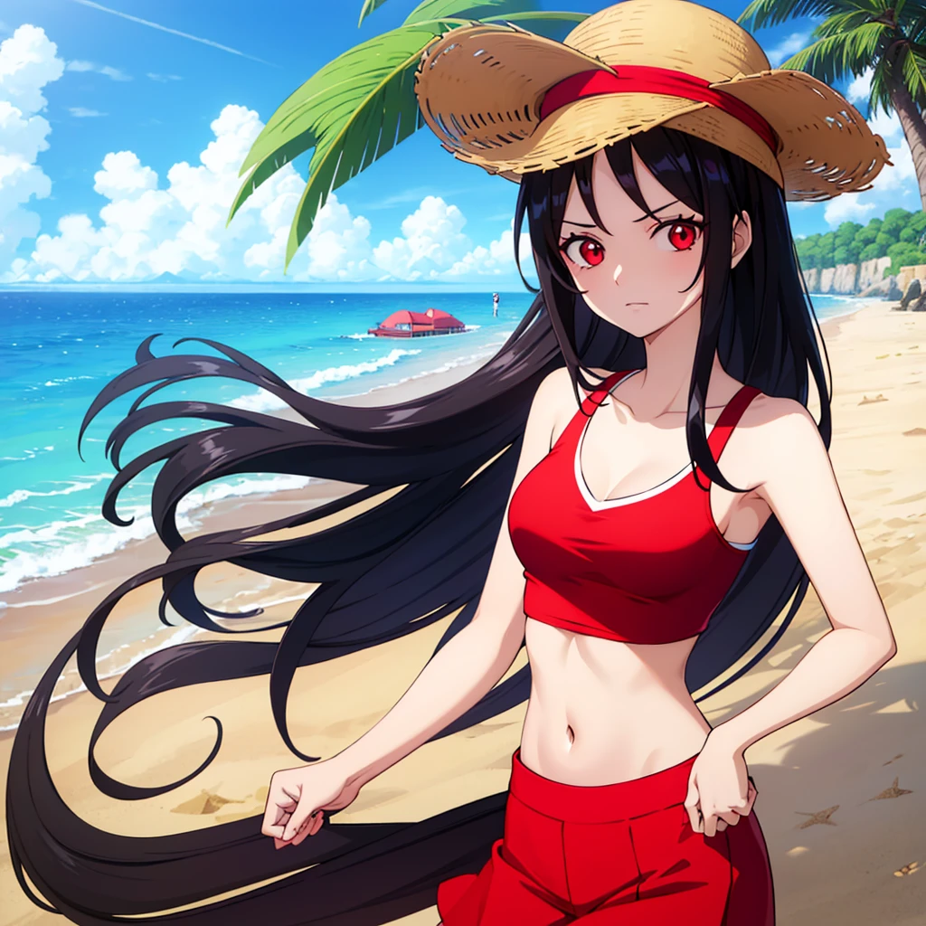 Anime girl, 1 girl, red eyes, long black hair, wearing crop top and and court, infront pf a beach, straw hat logo, high resolution, 