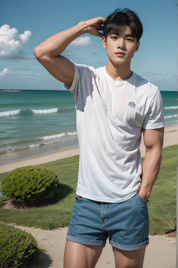 A young Asian man stands, handsome, muscular, looking at the camera. In a simple black t-shirt, Fieldside, grass, beach, sunlight