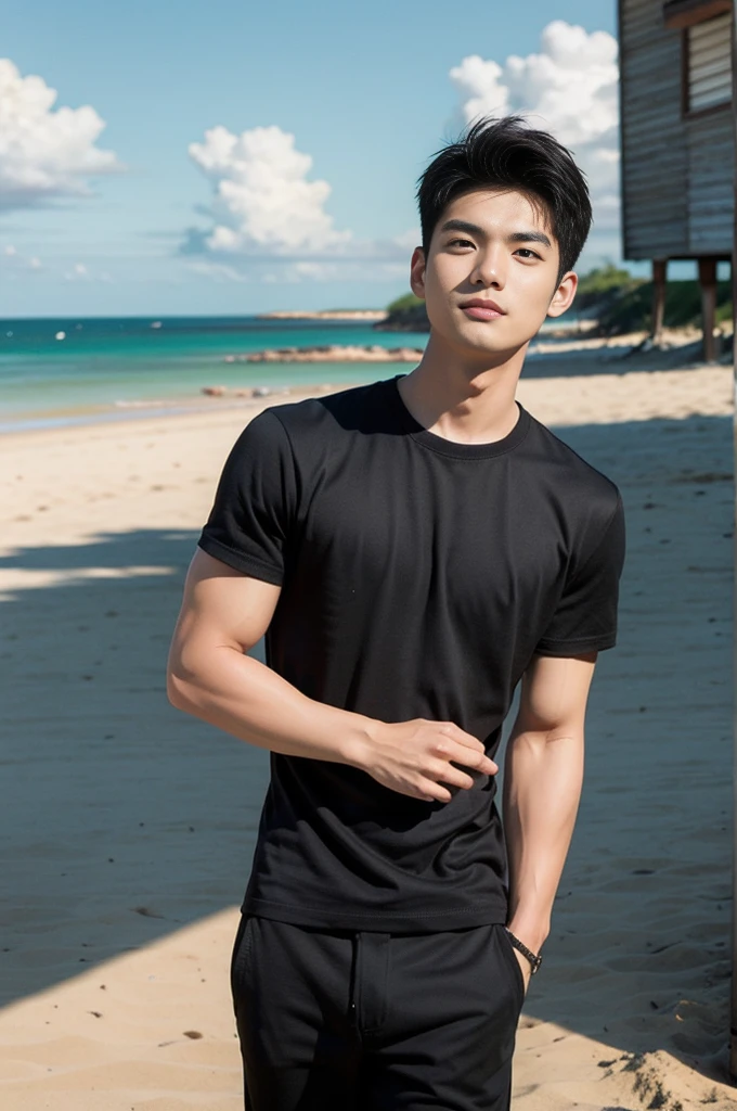 A young Asian man stands, handsome, muscular, looking at the camera. In a simple black t-shirt, Fieldside, grass, beach, sunlight