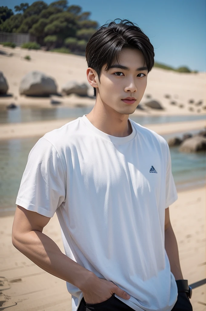 A young Asian man stands, handsome, muscular, looking at the camera. In a simple black t-shirt, Fieldside, grass, beach, sunlight