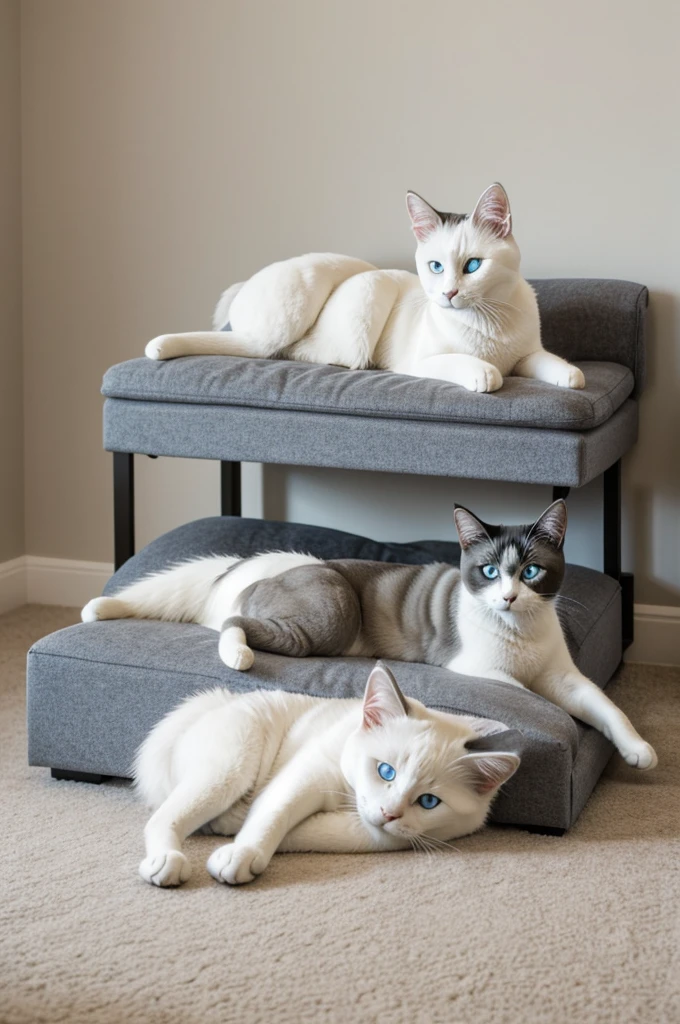 A white hosky dog lying down,on top of that a normal hosky, on top a Siamese cat and on top a gray cat
