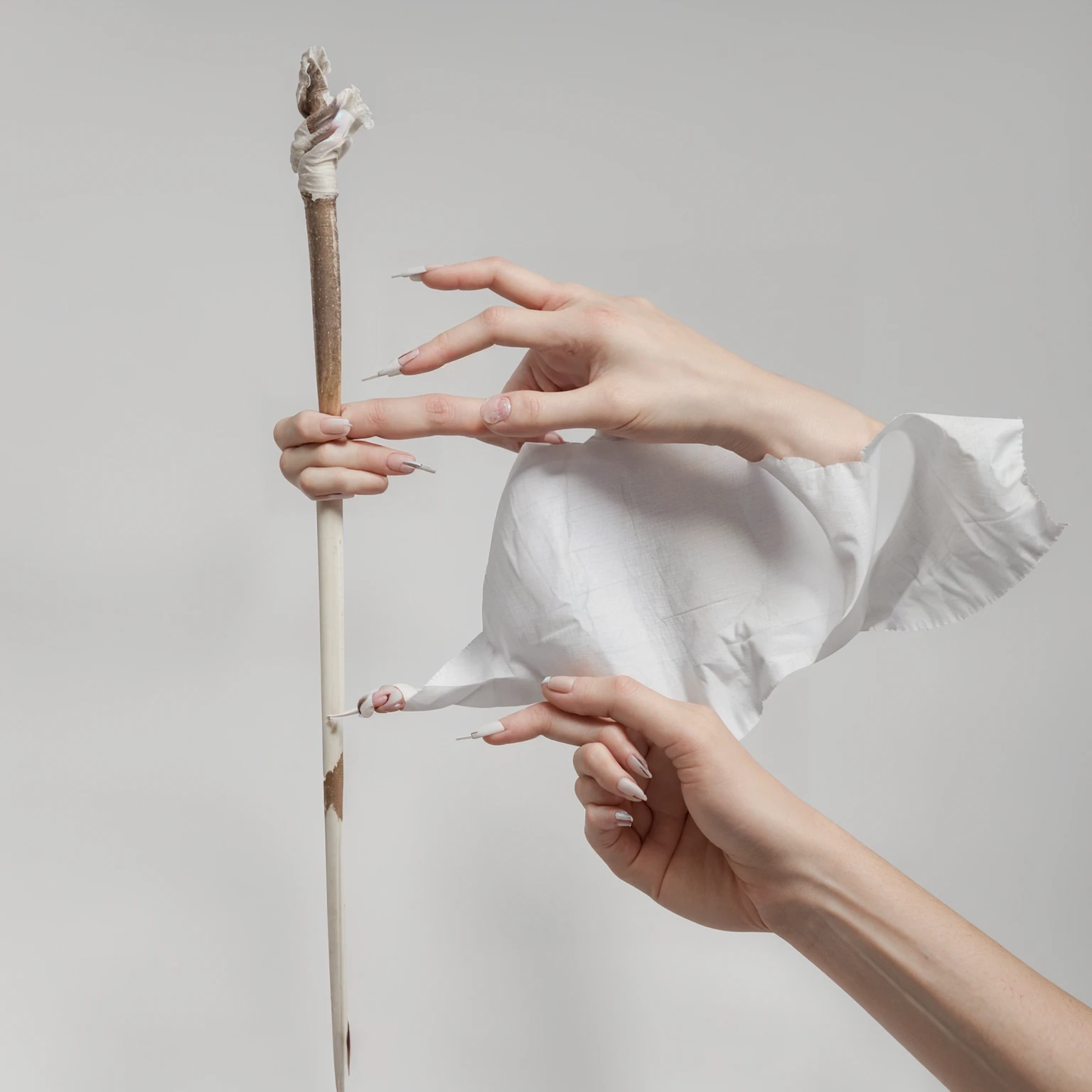 a hand holding a white flag, stock photo style, blank white background, the nails is hidden, correct anatomy of fingers