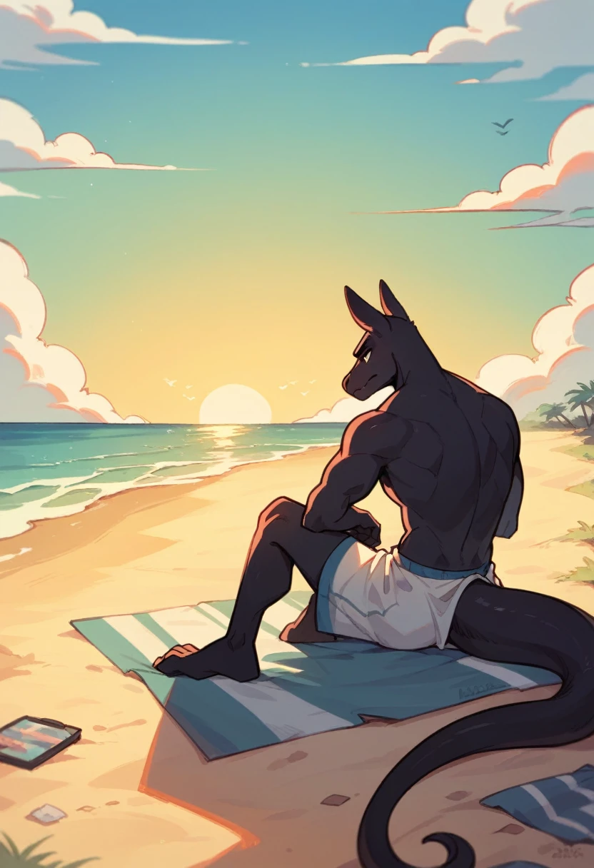 Create a silhouette of two anthropomorphic animal men back to back sitting on the beach sand watching the sunset