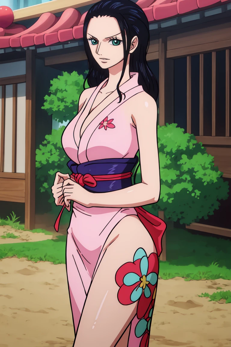 Nico Robin from one piece, black long hair, blue eyes, dark wide pupils, blushing, big breasts, large size , wearing wano arc outfit,  standing in Japanese traditional house Minka 民家.