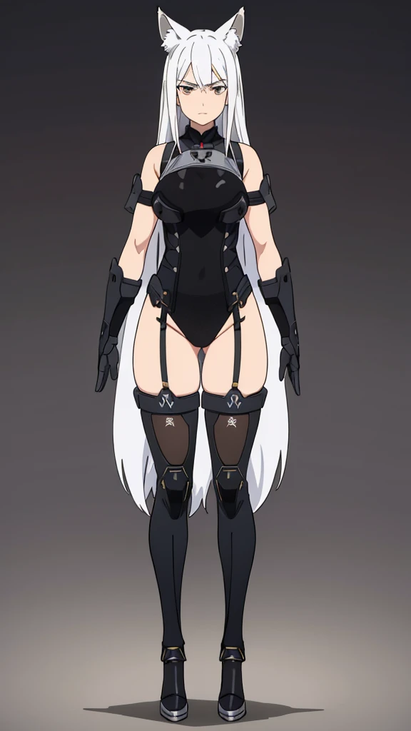 1girl ,solo,20s,mature female,serious face,white hair,long hair,fox ears,(simple background),thighhighs, see-through, black leotard, armor, black thighhighs, gloves
