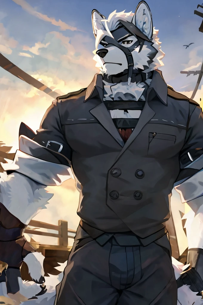Wolf,Pure white fur,belt,Handsome,hair