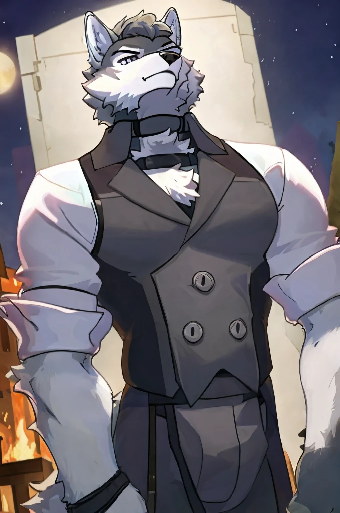 Wolf,Pure white fur,belt,Handsome,hair,Butler,choker