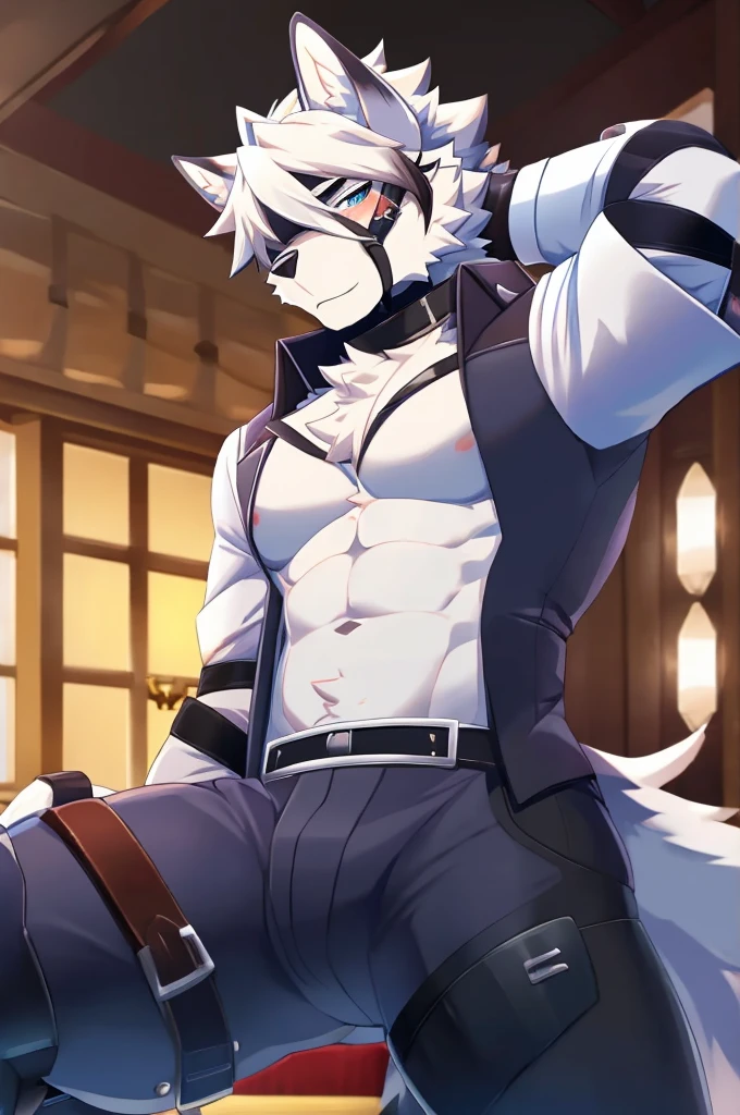 Wolf,Pure white fur,belt,Handsome,hair,Butler,choker,Prosthetic limbs,身体中にbeltを巻いている
