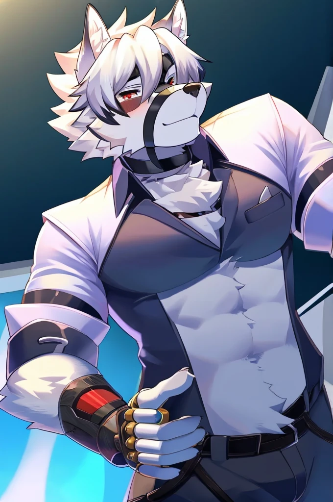 Wolf,Pure white fur,belt,Handsome,hair,Butler,choker,Prosthetic limbs,身体中にbeltを巻いている,Rin々Shii