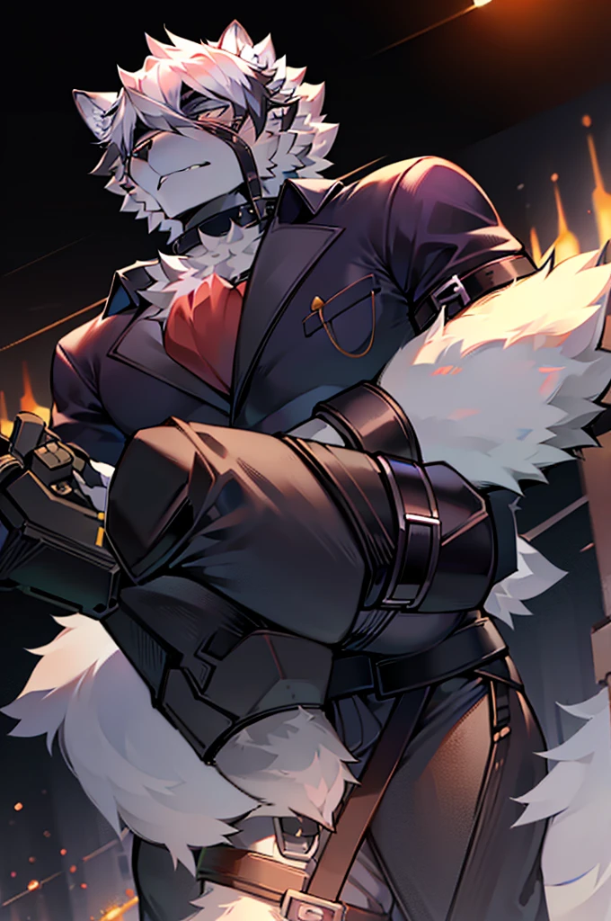 Wolf，Pure white fur，belt，Handsome，hair，Butler，choker，Prosthetic limbs，身体中にbeltを巻いている