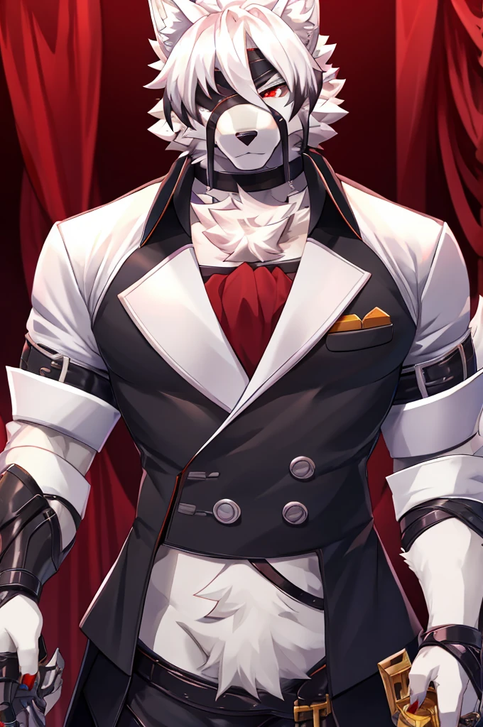 Wolf,Pure white fur,belt,Handsome,hair,Butler,choker,Prosthetic limbs,身体中にbeltを巻いている,Rin々Shii,Red eyes,Eyepatch on right eye