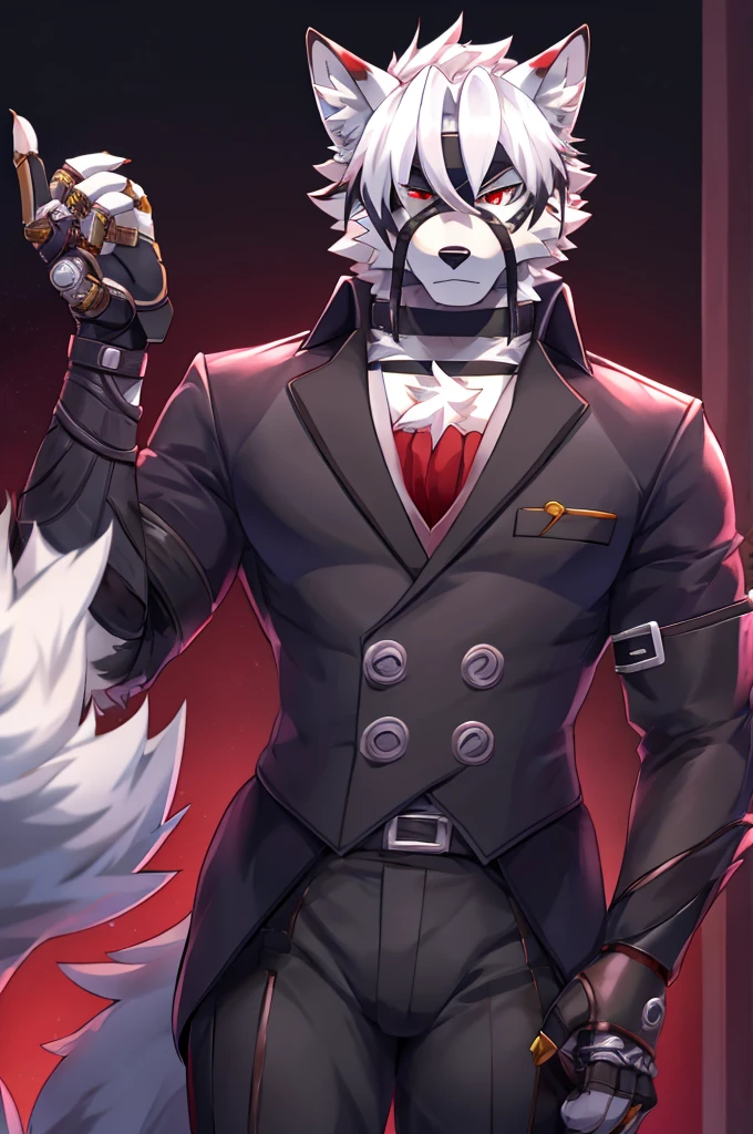 Wolf,Pure white fur,belt,Handsome,hair,Butler,choker,Prosthetic limbs,身体中にbeltを巻いている,Rin々Shii,Red eyes,Eyepatch on right eye