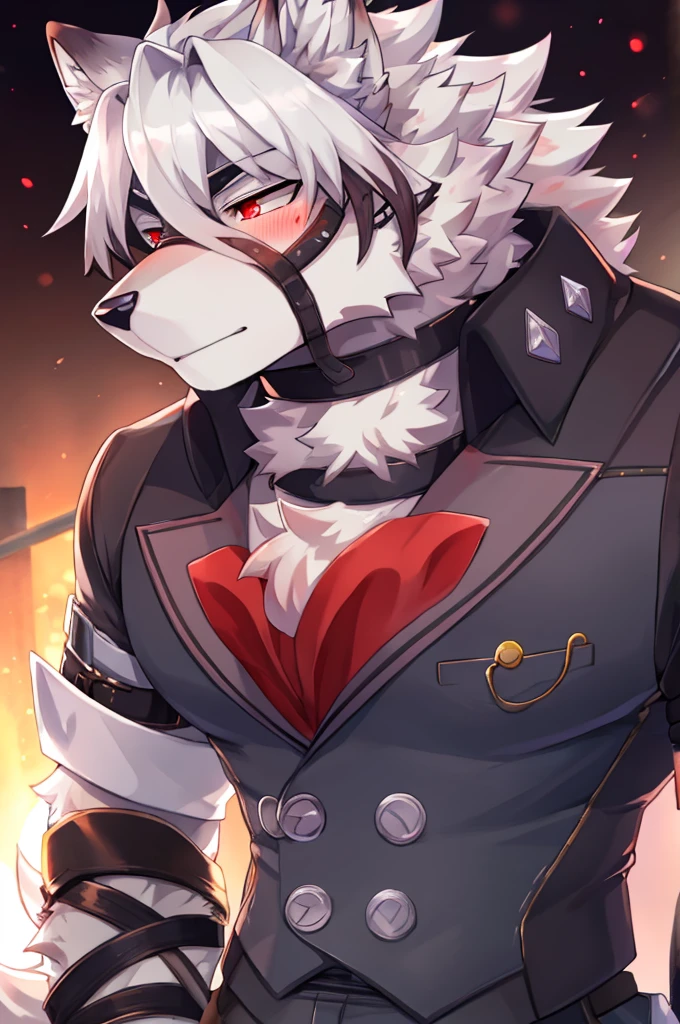 Wolf,Pure white fur,belt,Handsome,hair,Butler,choker,Prosthetic limbs,身体中にbeltを巻いている,Rin々Shii,Red eyes,blush
