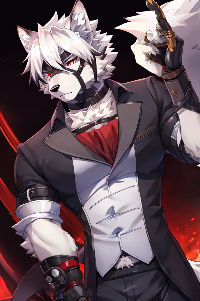 Wolf,Pure white fur,belt,Handsome,hair,Butler,choker,Prosthetic limbs,身体中にbeltを巻いている,Rin々Shii,Red eyes,Serious
