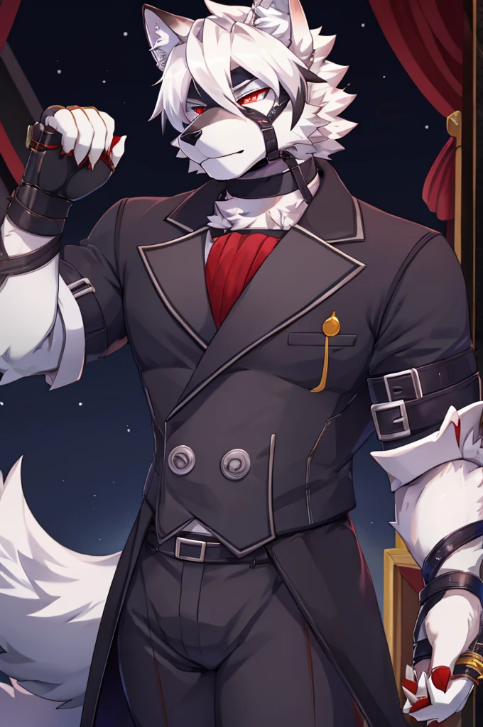 Wolf,Pure white fur,belt,Handsome,hair,Butler,choker,Prosthetic limbs,身体中にbeltを巻いている,Rin々Shii,Red eyes