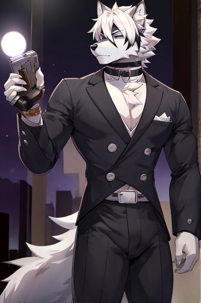 Wolf，Pure white fur，belt，Handsome，hair，Butler，choker，Prosthetic limbs，身体中にbeltを巻いている