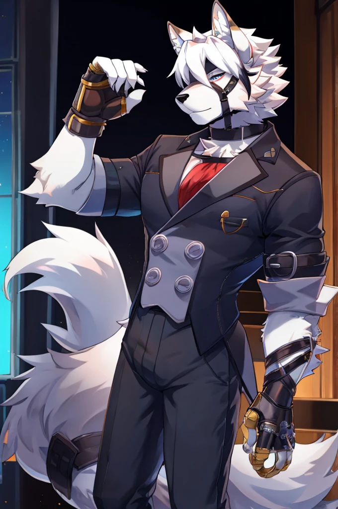 Wolf，Pure white fur，belt，Handsome，hair，Butler，choker，Prosthetic limbs，身体中にbeltを巻いている，Rin々Shii