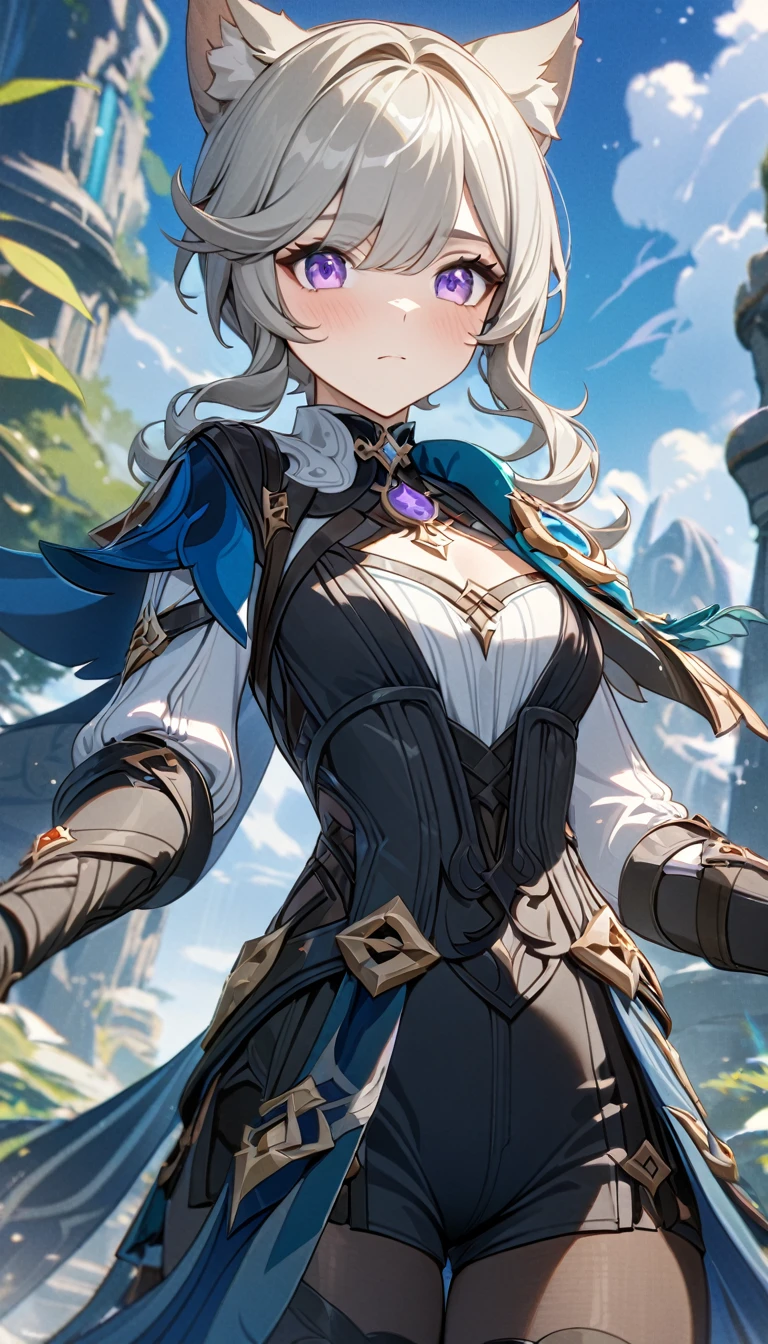 Young girl, gray hair, purple eyes, cat ears, Lynnet from Genshin Impact, Masterpiece, best quality, Full HD, 8k, ultra details, great graphic