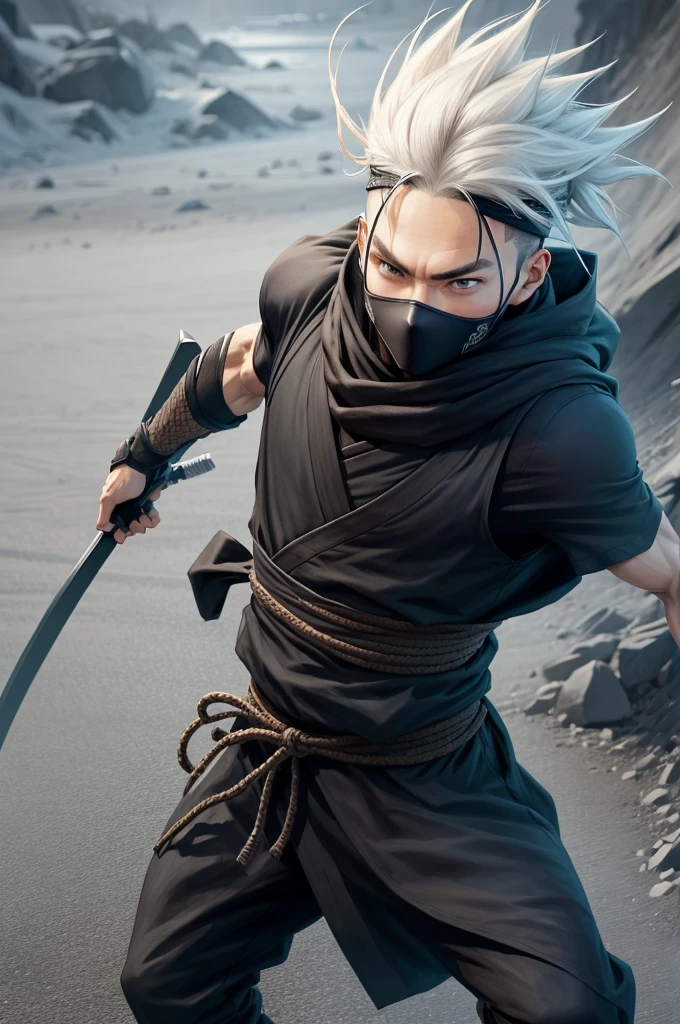ninja