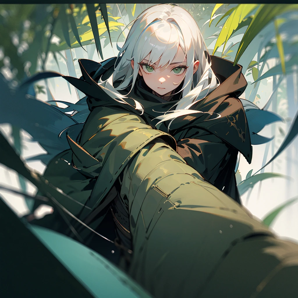 ((best qualityer)), ((work of art)), (detailded), 1 elfo, wearing black overcoat with hood, long  hair, white  hair, gray green eyes, dense jungle background