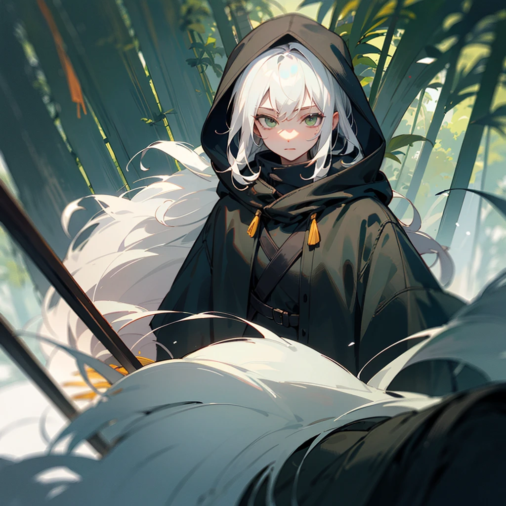 ((best qualityer)), ((work of art)), (detailded), 1 elfo, wearing black overcoat with hood, long  hair, white  hair, gray green eyes, dense jungle background