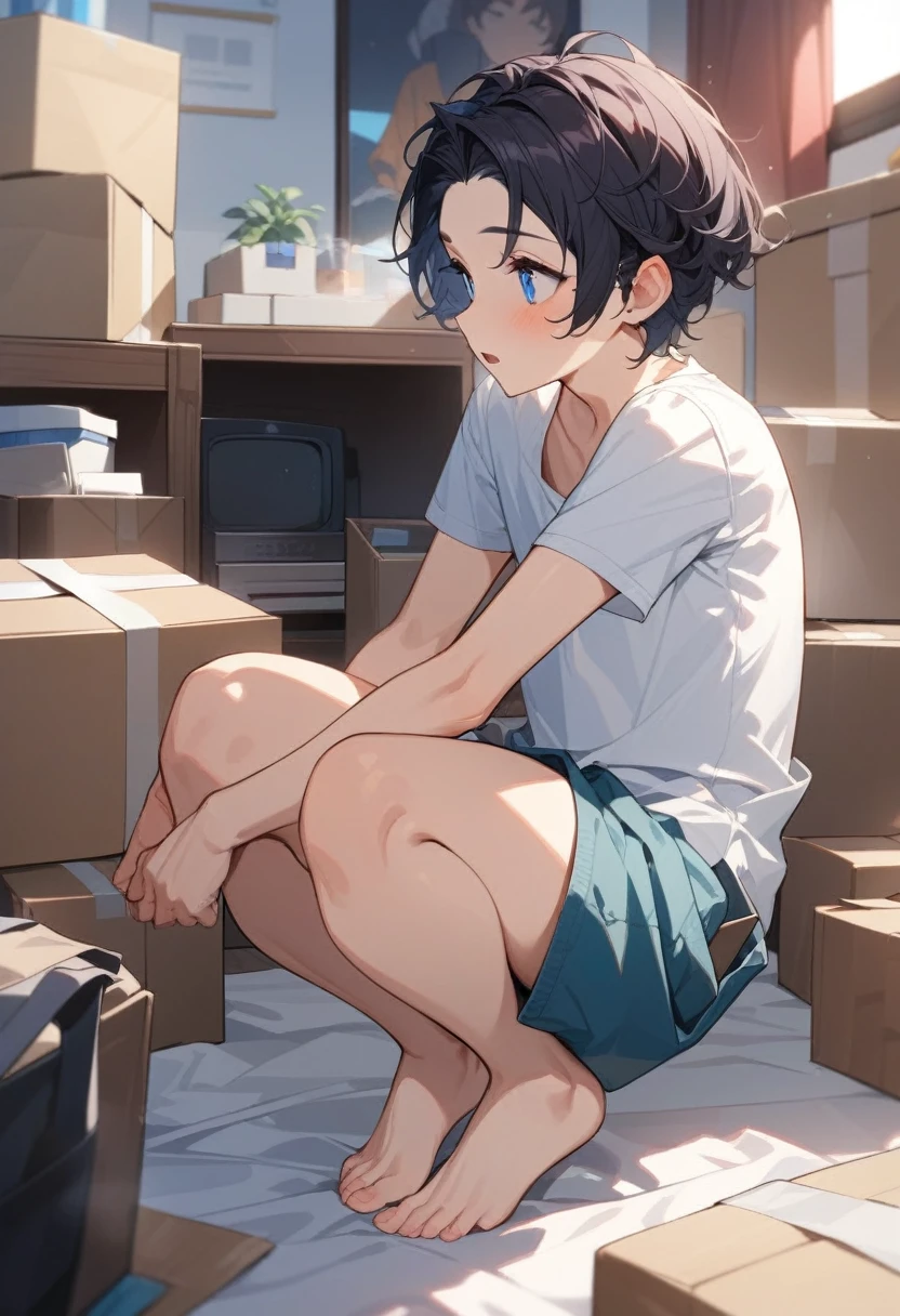 masterpiece, best quality, extremely detailed, ultra detailed, flat anime, 2D,
((1boy)),black hair, (short hair:1.5),blue eyes, height 1.7meters, (circle eyes:1.2), (young adult:1.2), Ear-length sideburns,
long Sleeves, White T-shirt, barefoot,
squatting, looking away, expressionless,open mouth,
summer, 12AM, livingroom,organizing the boxes., I'm looking at the material in my hand.