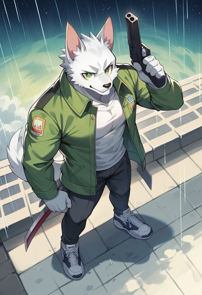 Masterpiece, Best Quality, absurd resolution, ultra detailed, perfect anatomy,
monomasa, 
por canandne khai, for you.and.stars, (by DRKS:0.28), (by Pino Daeni:0.8),
furry, muscular male, lobo, well-built, Alone, green pupils, sneakers, 
Jacket, dress, dynamic angle, high angle view, Blade, holding gun, 
rain, cloudy, urban landscape, 