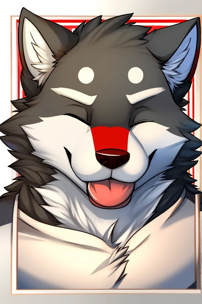 Photo of a male wolf with his eye closed and a red on his nose and his tongue sticking out, skin color gray and white