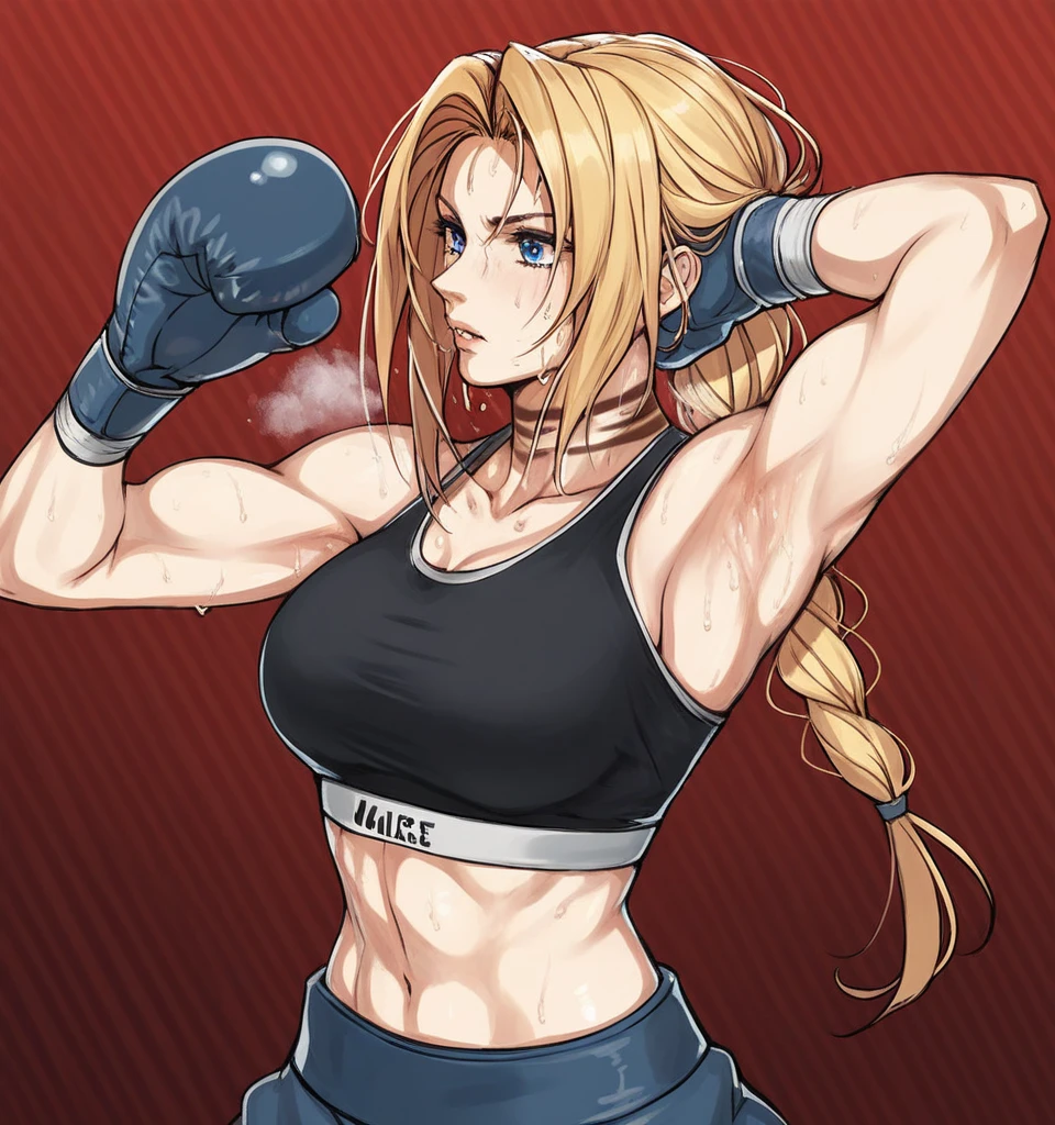 score_9, score_8_up, score_7_up, score_6_up, Detailed Background, BREAK
 koasmirage, 1girl, long hair, sports bra, klausian neck markings, sweating,showing armpit,blonde hair, blue eyes, single braid,BREAK
boxing ring, boxing gloves, mma,