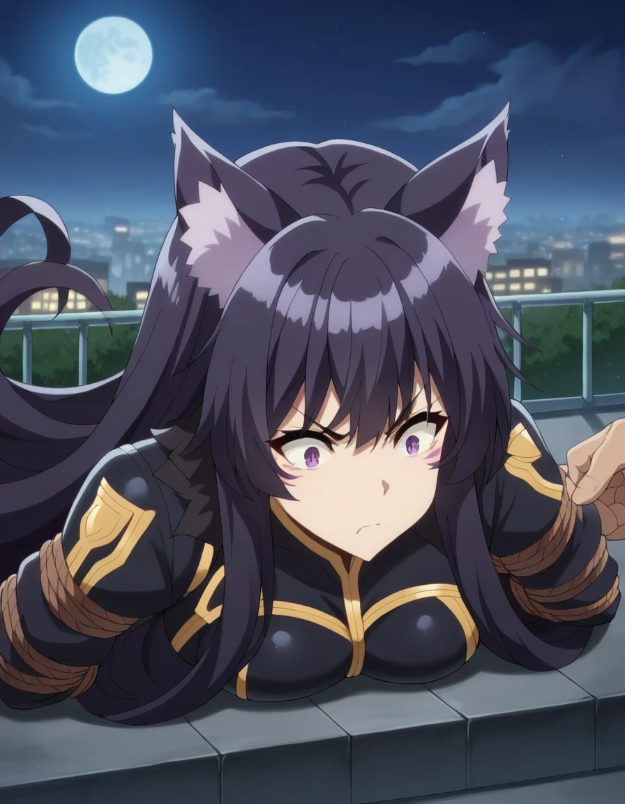 score_9, score_8_superior, score_7_superior, sauce_anime,
shadowdelta, delta, Long Hair, Black Hair, Animal ears, Purple eyes, Cat ear, Animal earsの毛, Facial blemishes, anger,
Bodysuits, black Bodysuits,
Outdoor, Cityscape, night, moon,Tied up with rope,Lying down,Struggling,