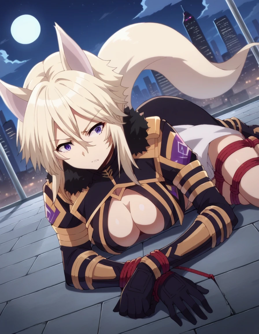 score_9, score_8_superior, score_7_superior, sauce_anime,
shadowZeta, Zeta, Animal ears, Purple eyes, Blonde,
gloves, Cleavage, tail, black gloves, Clothing cutouts, Cleavage cutout,
Outdoor, Cityscape, night, moon,Tied up with rope,Lying down,Struggling,