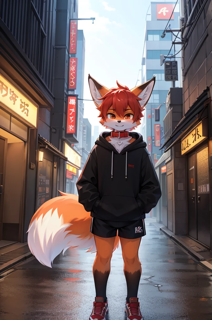 fox boy,8k resolution,high resolution,Street style, Red collar,White and black hoodie,Shorts,City of Tokyo?