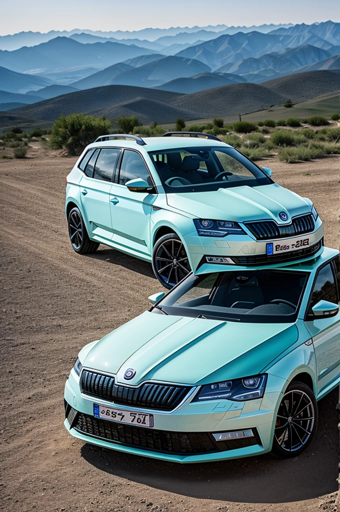 Skoda ety in Kazakh style 
