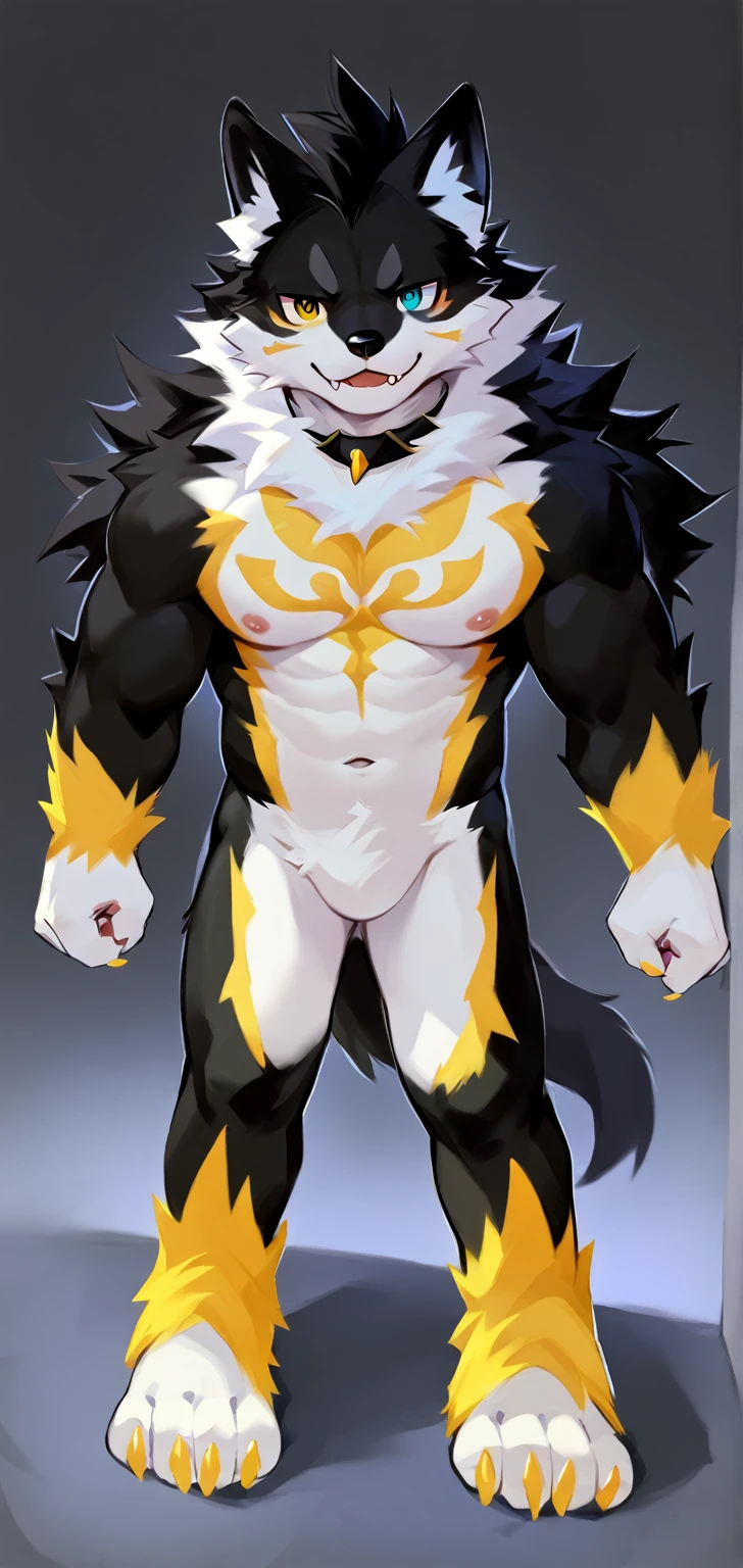 score_9,score_8_up,score_7_up, wolf, black fur, heterochromia, anthro, mohawk, black hair, furry art, black fur, gold tattoo, cheeks tuft, shoulder tuft, male focus, cute fangs, kemono, fluffy neck, claws, navel, nipples, (by chunie), front view,