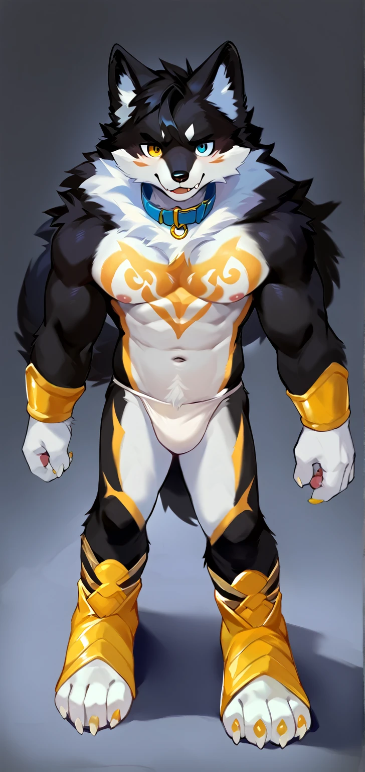 score_9,score_8_up,score_7_up, wolf, black fur, heterochromia, anthro, black hair, furry art, black fur, gold tattoo, cheeks tuft, shoulder tuft, male focus, cute fangs, kemono, fluffy neck, claws, navel, nipples, (by chunie), collar, view from below,