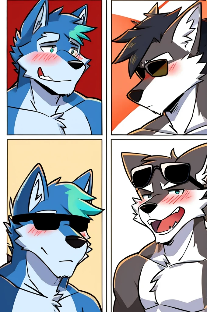 Photos of furry comics on the beach shirtless, wearing sunglasses and looking at another blushing wolf 