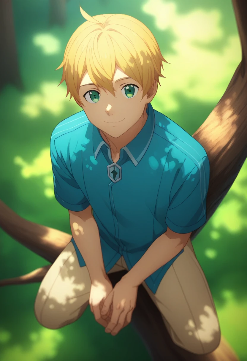 score_9, score_8_up, score_7_up, source_anime, rating_safe, , (photorealistic:0.6), looking at viewer, depth of field, 1boy, solo, male focus, eugeo, yellow hair, green eyes, blue shirt, from above, full body, forest, noon, leaning on tree, smile, ,