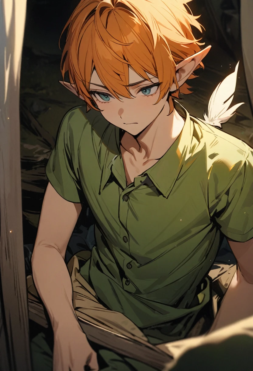masterpiece, Highest quality, One boy, Peter Pan, alone, close, short hair, Orange Hair, green collared shirt, Short sleeve, Hat feathers, Male Focus, Pointed Ears, 