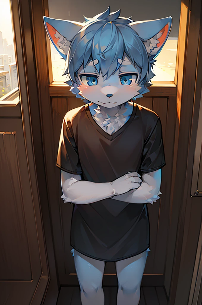 Normal scenario (Furry light blue fox boy), Standing，Facing the camera， ((Melancholy， Detailed face, Clear big eyes，blue eyes，Meticulous attention to detail)), Natural and soft lighting, 8K, SF Express, Autumn Light , peaceful , (Fluffy Paws), Front view，Wearing a shirt