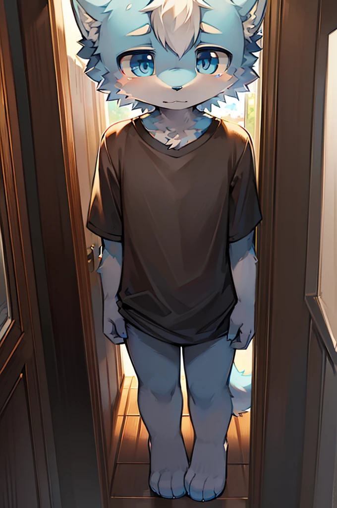 Normal scenario (Furry light blue fox boy), Standing，Facing the camera， ((Melancholy， Detailed face, Clear big eyes，blue eyes，Meticulous attention to detail)), Natural and soft lighting, 8K, SF Express, Autumn Light , peaceful , (Fluffy Paws), Front view，Wearing a shirt