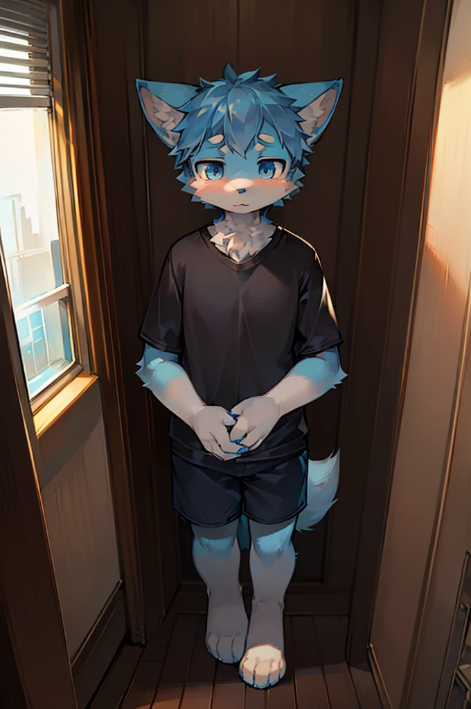 Normal scenario (Furry light blue fox boy), Standing，Facing the camera， ((Melancholy， Detailed face, Clear big eyes，blue eyes，Meticulous attention to detail)), Natural and soft lighting, 8K, SF Express, Autumn Light , peaceful , (Fluffy Paws), Front view，Wearing a shirt