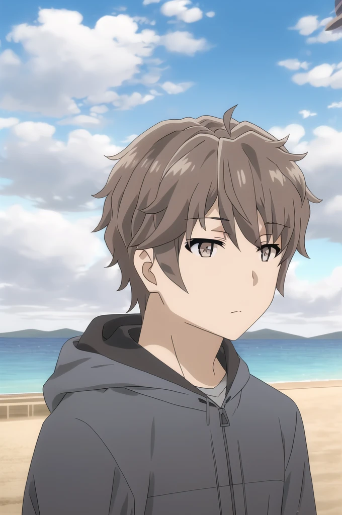 azusagawa sakuta, 1boy, male focus, solo, brown hair, brown eyes, upper body, sunglassss, looking at viewer, cloud, blue sky, closed mouth, spy outfit, outdoors, long sleeves, hood down,