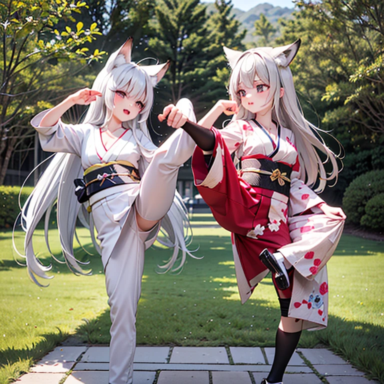 (Fox Girl, Fox Ears, Silver Hair, Fox Makeup, One Girl, Long Hair:1.6), (kimono, Kimono with open chest, A beautiful kimono with red and black patterns, I can see her cleavage, Open chest, Skin is visible:1.8), (Body measurements are 75-60-75!, Young girl body, Small breasts, Small breasts, Emphasize the chest, Make a high kick:1.9), Avatar, face, ???? face, Dominant representation, naughty face, Uplifting, Skin Texture, outside, Grassy field