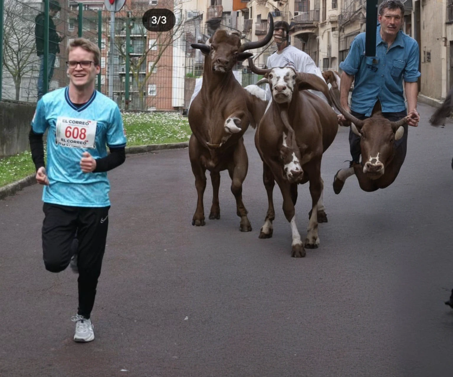 San Fermin. Bulls.